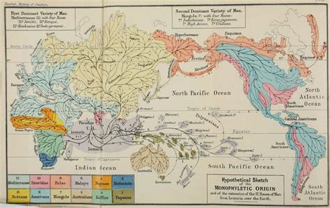 The Frenzy About the Weirdest Continent That Never Existed .